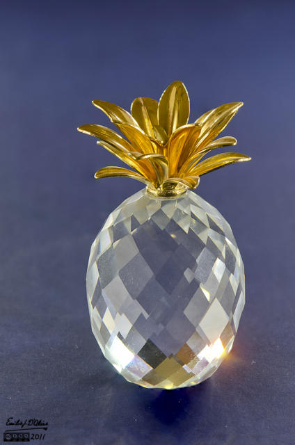 Miniature Pineapple - Macro Photography + Blended Layers