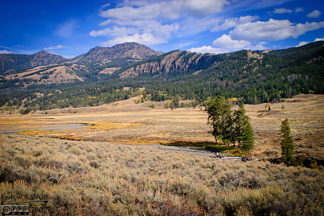 Part of the Lamar Valley panorama in the SmugMug gallery