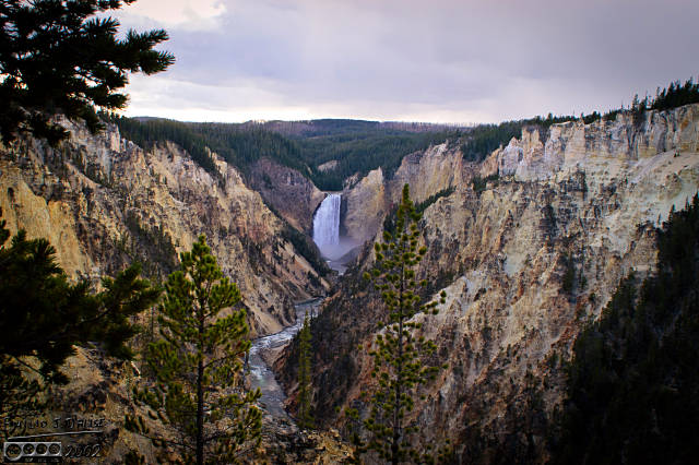 Yellowstone Canyon Lower Falls - Artist Point