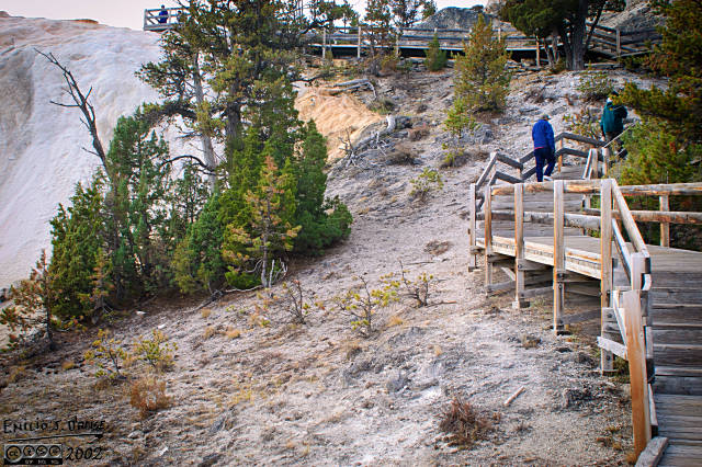 Boardwalks allow visitors (like my father-in-law) to safely examine the terraces
