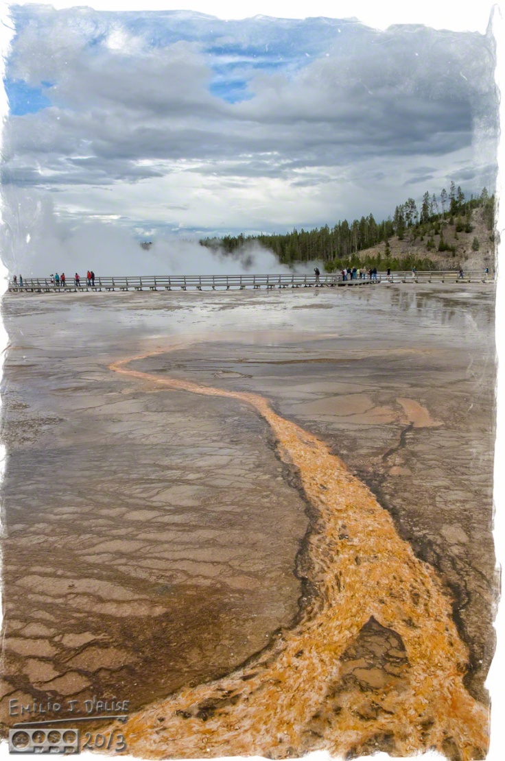 Yellowstone 2013,