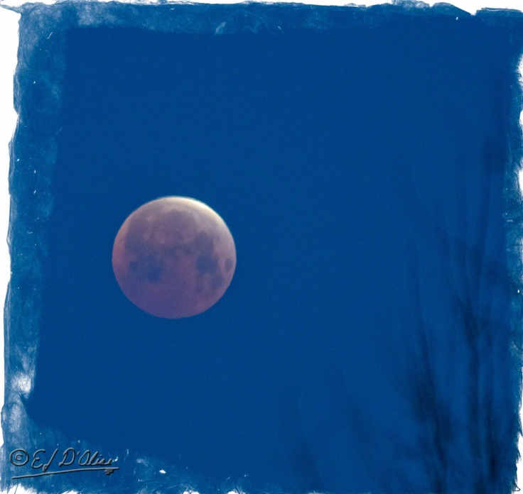 Moon Eclipse,
