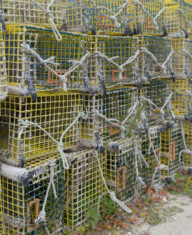 lobster traps