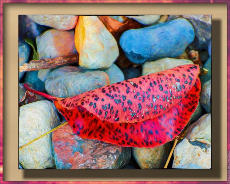Artified Photos of fall leaves on rocks