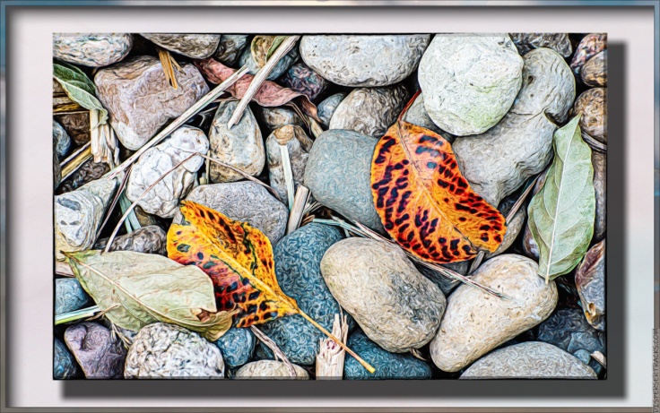 Artified Photos of fall leaves on rocks